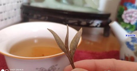 疏肝理气，喝什么茶好得快？