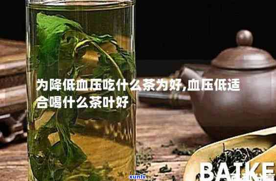 喝哪种茶可以有效降低血压血脂？详细解析