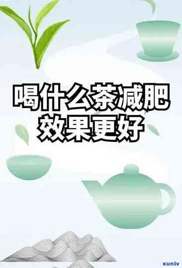 减肥喝哪种茶好？比较各种茶的效果与选择建议