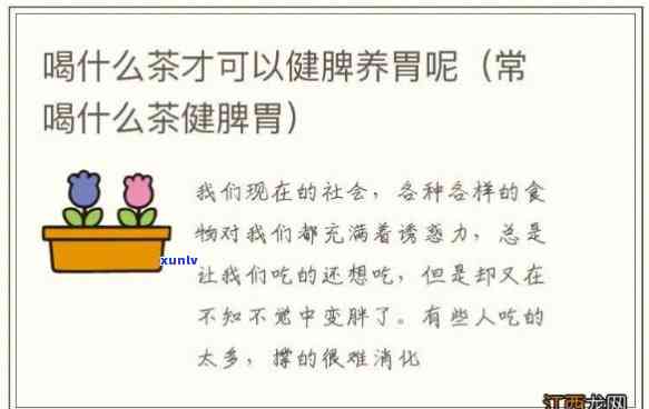 常喝什么茶健脾胃，常喝哪些茶可以有效健脾胃？