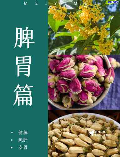 常喝什么茶健脾胃，常喝哪些茶可以有效健脾胃？