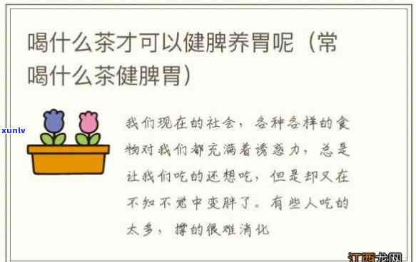 常喝哪种茶健脾养胃-常喝哪种茶健脾养胃