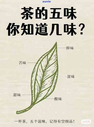 什么茶是有点甜的，探索口感：揭秘哪些茶叶带有一丝甜的味道？