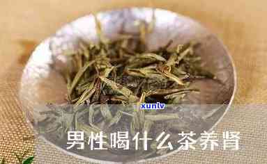 补肾清肺喝什么茶好-补肾清肺喝什么茶好呢