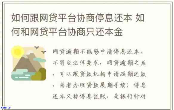 网贷怎么谈减免：利息与本金全攻略