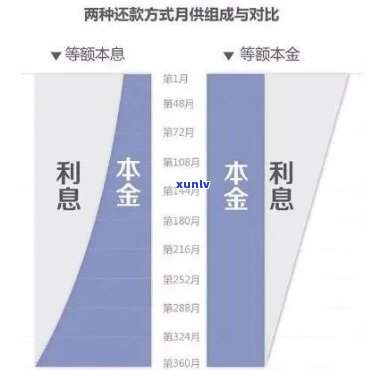 网贷怎么谈减免：利息与本金全攻略