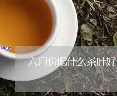 5月6月喝什么茶好喝，五月六月，适合饮用哪些茶叶？口感与功效全面解析