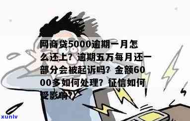 网商贷5000元逾期半年：结果及解决办法