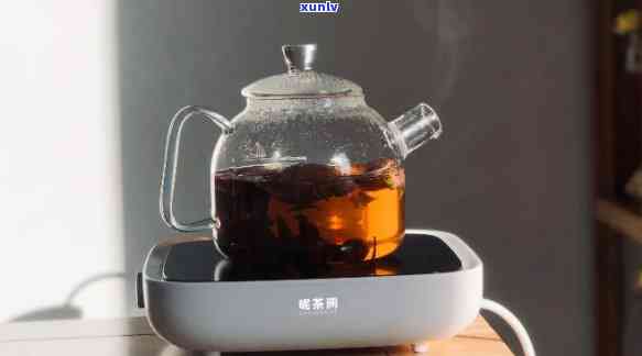 什么茶适合煮茶器蒸煮？详解各类茶叶的适宜方式与口感