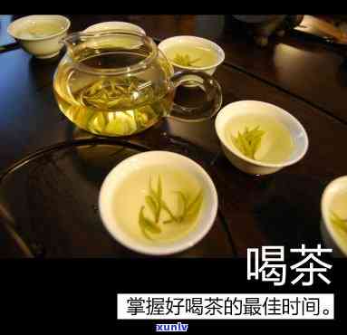 早上喝什么茶,下午喝什么茶，从早到晚：你的茶叶指南