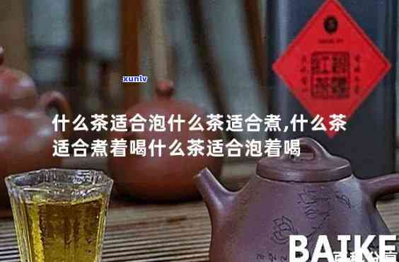 什么茶要泡什么茶煮-什么茶要泡什么茶煮好喝