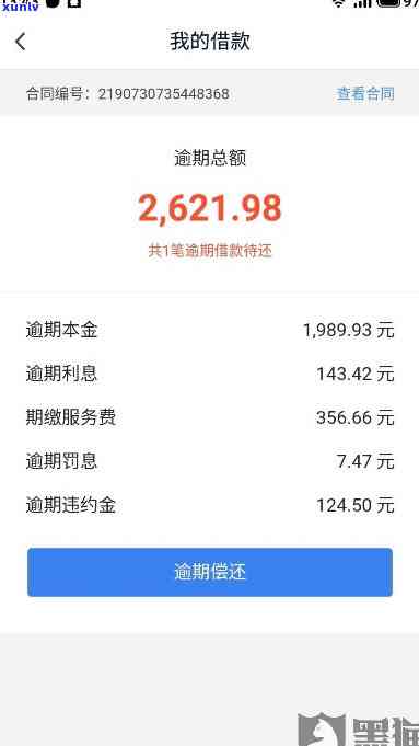 XXXX年信用卡逾期还款宽限期：错过一天的影响与应对策略