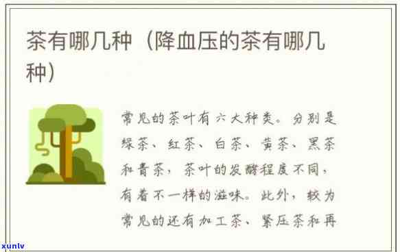 哪种茶喝了降血压效果？