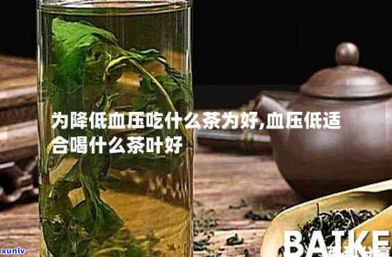 降血压常喝什么茶为好，探讨降低血压的饮品：哪些茶叶值得尝试？