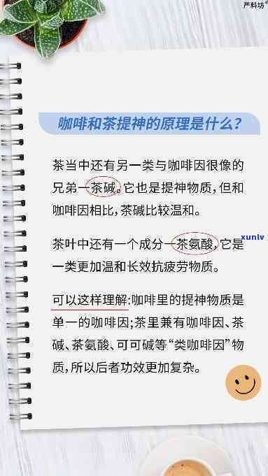 红茶品种有哪些品种？探索常见红茶及其图片与名称