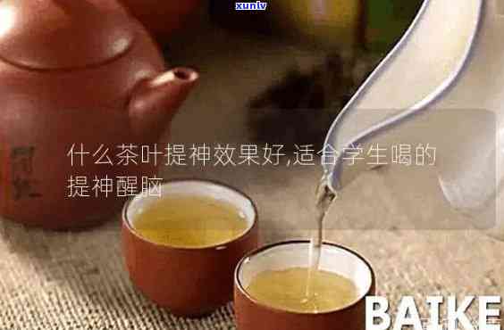 什么茶提神作用？详解各类茶叶的提神效果