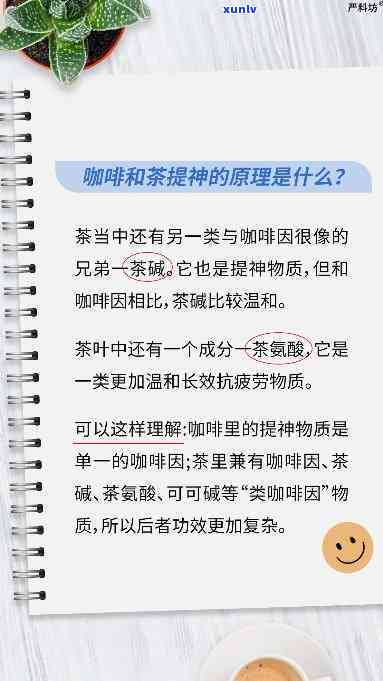 喝哪种茶提神效果好-喝哪种茶提神效果好一点