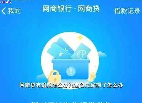 2020年网商贷逾期政策详解：内容、作用及应对措