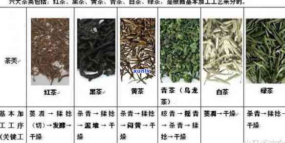 喝哪种茶比较好，探讨不同种类茶叶的优缺点，喝哪种茶更好？