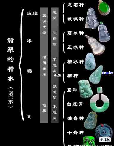 翡翠种分类，探索翡翠世界的奥秘：深入了解翡翠种分类