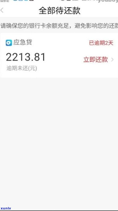 网商贷151逾期一天利息-网商贷逾期15万