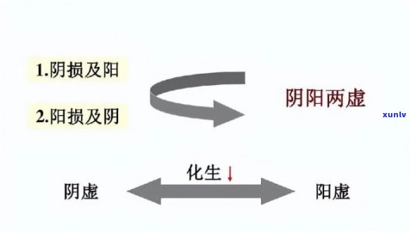 阴阳两虚喝什么养生茶？解析选择与功效