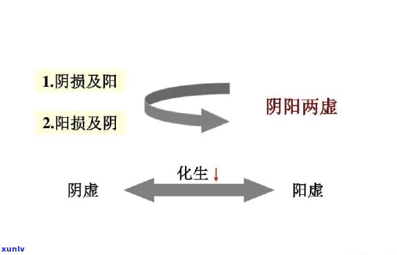 阴阳两虚喝什么养生茶？解析选择与功效