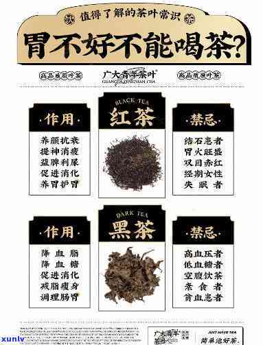 胃不好不能喝啥茶？专业解答帮你避开禁忌！