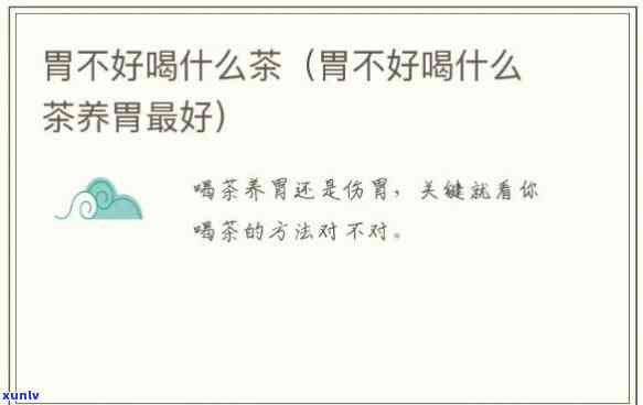 胃不好不能喝啥茶？专业解答帮你避开禁忌！