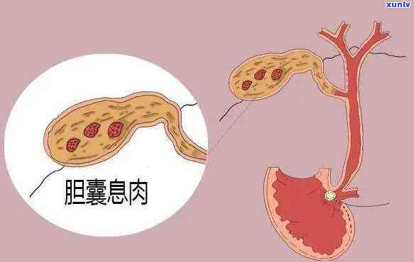 一芽一叶叫雀舌,一芽二叶叫什么，茶叶初识：一芽一叶是雀舌，那么一芽二叶又是什么呢？