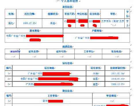 新版怎样隐藏负债信息记录，怎样在新版中隐藏负债信息记录？