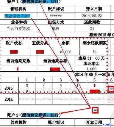 新版如何隐藏负债信息-新版如何隐藏负债信息呢