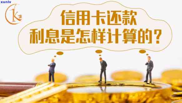 信用卡更低利息怎么算，如何计算信用卡的更低利息？一份详细指南