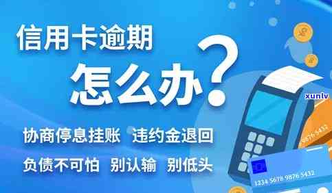 信用卡怎么挂账停息还本，怎样办理信用卡挂账停息还本？步骤详解