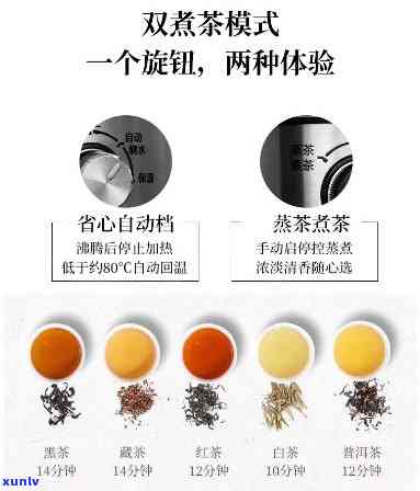 什么茶适合喷淋煮茶壶？绿茶、乌龙茶、白茶等轻发酵茶种，有助于保留茶叶原味。