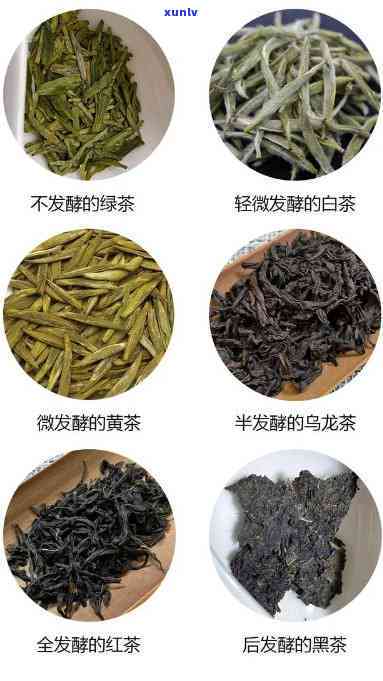 太华茶：属于哪种茶类？