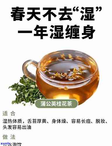 身上湿气太重？推荐这几种祛湿茶！