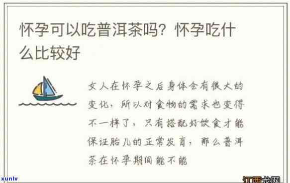 孕妇可以喝什么茶好-孕妇可以喝什么茶对胎儿好