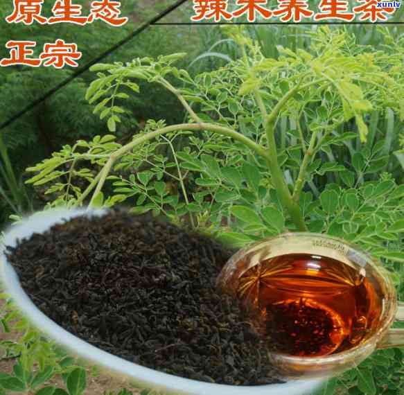 辣木茶有什么作用与功效图片，探究辣木茶的神奇功效：一张图告诉你它的作用！