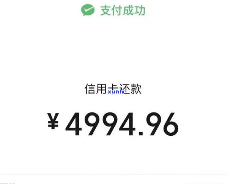 信用卡还款怎样避免产生利息？全网都在关注的疑问！