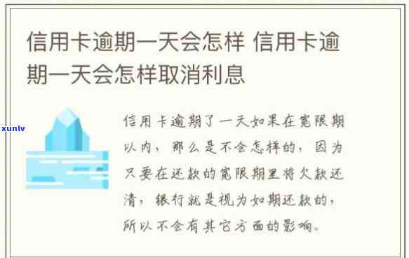 信用卡能逾期一天怎么算利息-信用卡能逾期一天怎么算利息呢