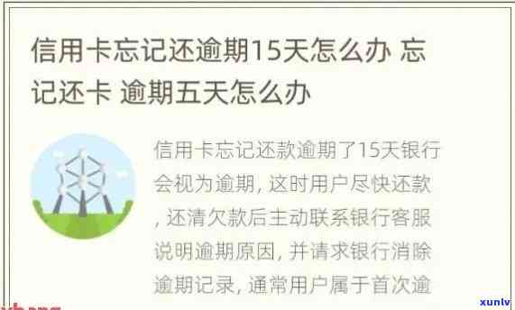 信用卡3天忘记还款怎么办？立即采用行动避免逾期！