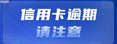 滇红金螺的产地及其分布区域是哪里？