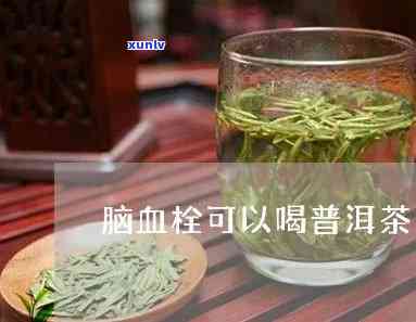 昔归藤条：云南普洱茶熟茶紧压茶250g古树纯料礼盒装七子饼茶叶生压制