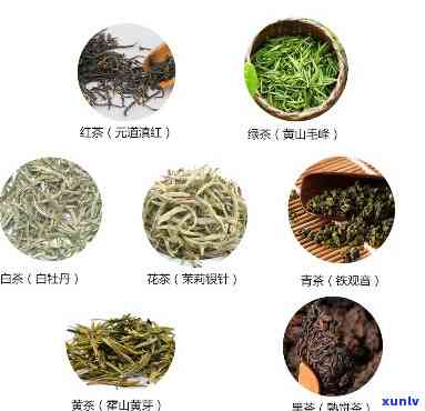 常喝的茶种类图片大全：详细介绍每种茶叶及其特点