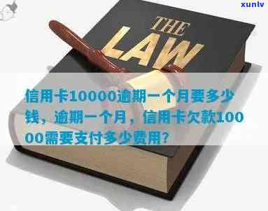 信用卡10000元逾期利息-信用卡10000元逾期利息多少