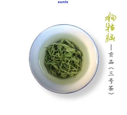 如何泡出美味狗牯脑茶？详细步骤分享！