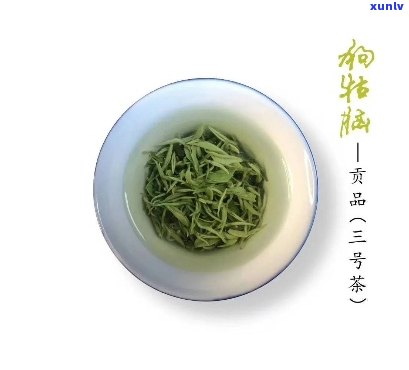 狗牯脑茶怎么泡好喝-狗牯脑茶怎么泡好喝一点