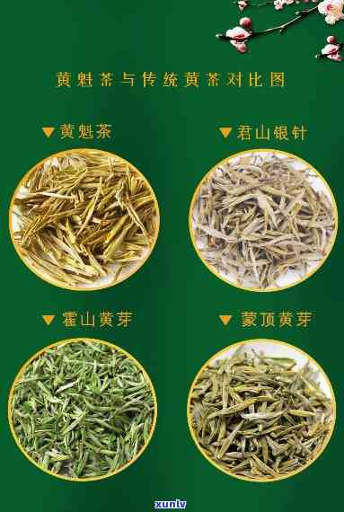 黄大茶有哪些，探秘黄大茶：了解这种独特的中国茶叶品种