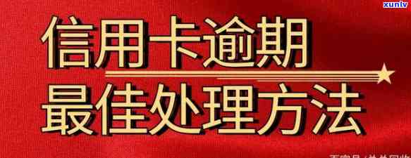 信用卡逾期不还利息，怎样咨询律师解决？